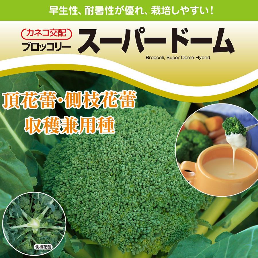 【カズ】ブロッコリー種子（BL-456）5000粒 楽天市場】BL-456 5000粒(Lコート) ブロッコリー 【ブロリード