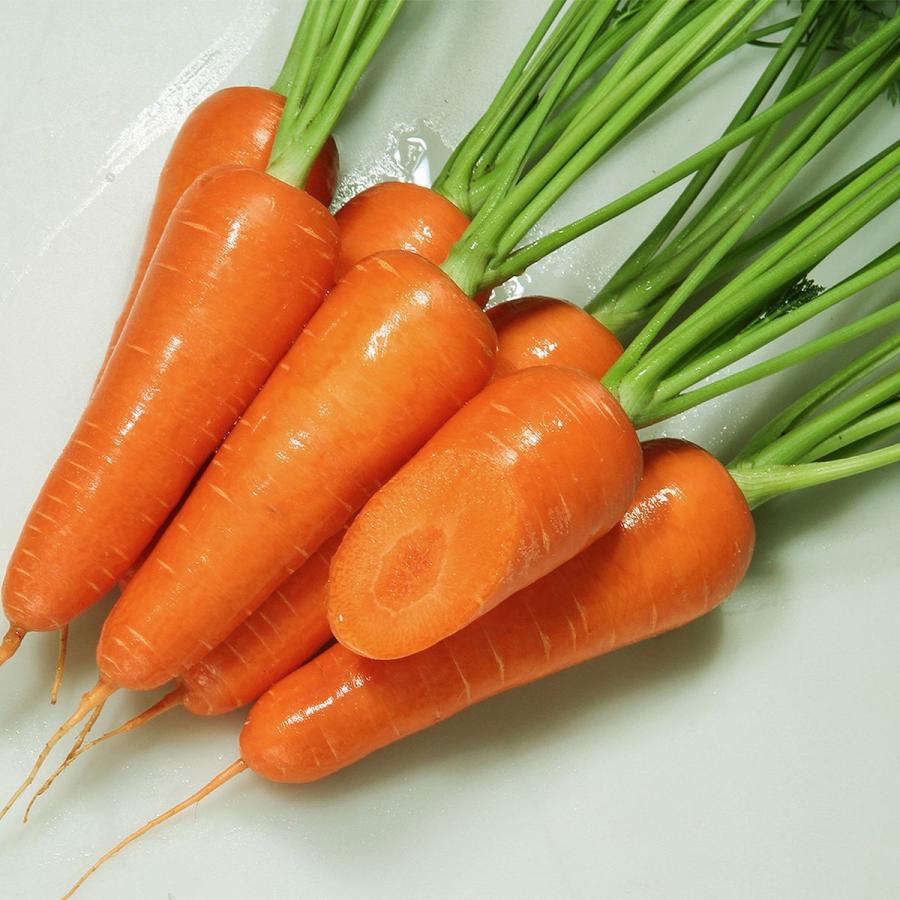 大容量 営利種 カネコ交配 ひとみ五寸 ニンジン ペレット10000粒