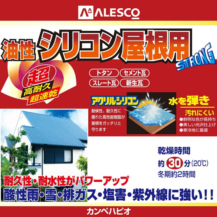 カンペハピオ（Kanpe Hapio） 塗料 油性シリコン屋根用 14L ぎん黒2号 