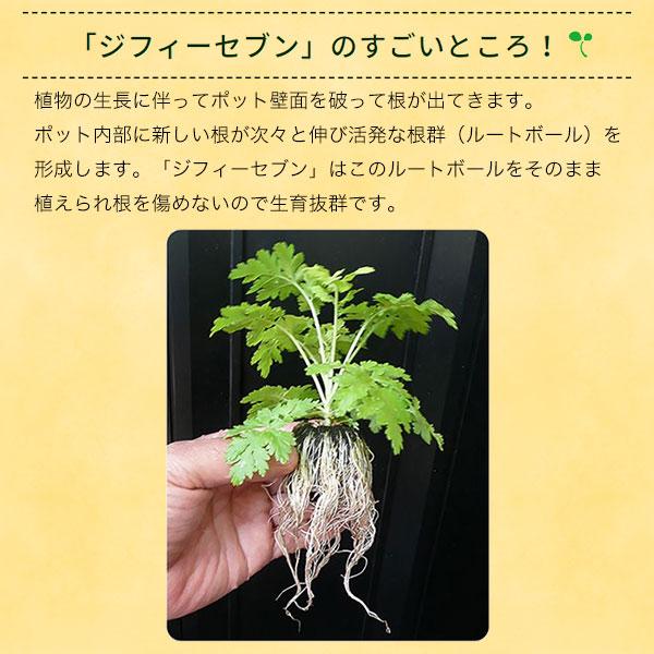 激安！ジフィーポット　 40✕17＝680個 　1個19円！家庭菜園 そのまま植えられる土ポット ジフィーセブン 直径42mm 12個入【種まき