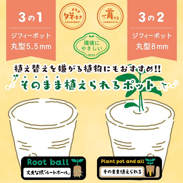 そのまま植えられるエコポット ジフィーポット 丸型5.5cm 40個入
