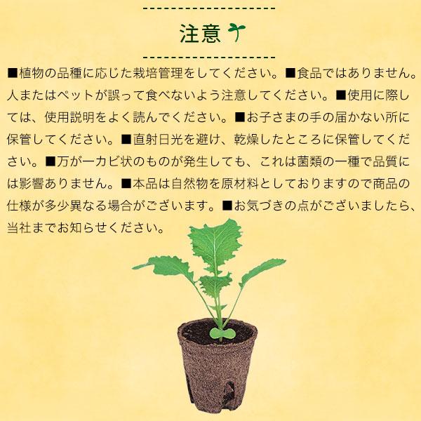 そのまま植えられるエコポット ジフィーポット 丸型8cm 30個入 サカタ
