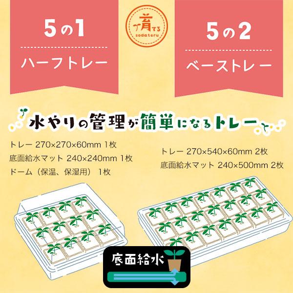 水やりがかんたんになるトレー ハーフトレー (270×270×60mm)×1枚 底面