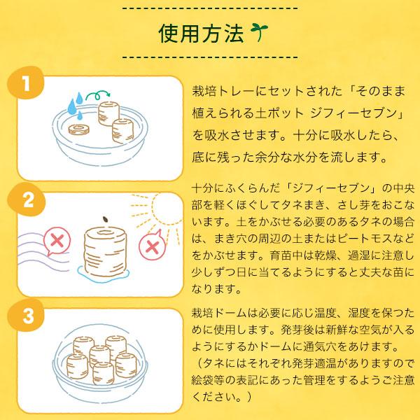 サカタのタネ（サカタノタネ） はじめてさんのかんたんタネまきキット