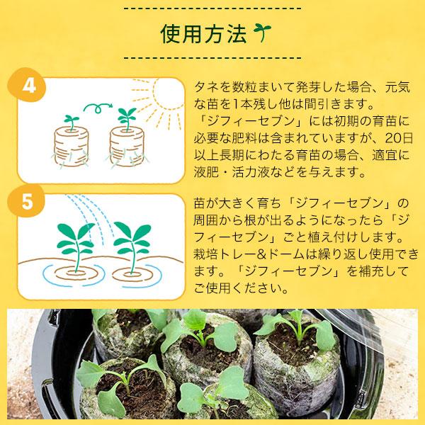 サカタのタネ（サカタノタネ） はじめてさんのかんたんタネまきキット