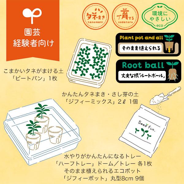 サカタのタネ（サカタノタネ） タネからはじめるかんたん苗づくり