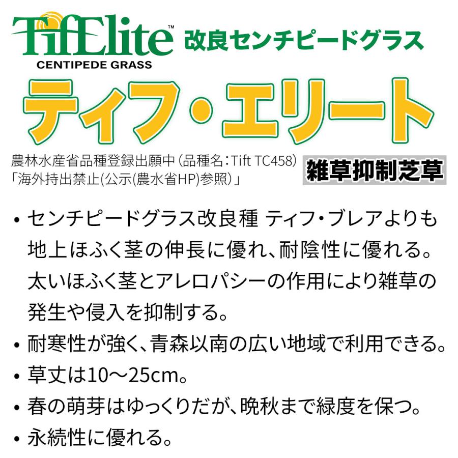 芝種 センチピードグラス ティフ・エリート 1kg (500g×2袋) タキイ種苗