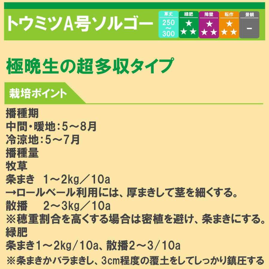 Soraumiさま】ご購入品◇緑本体➕️① Soraumiさま】ご購入品◇緑本体