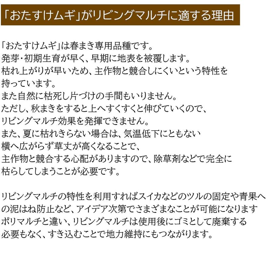 大麦(緑肥用)おたすけムギ 20kg (1kg×20袋) タキイ種苗 リビングマルチ 雑草抑制 景観緑肥 土壌改良 地温抑制 オオムギ 緑肥用種子 緑肥種子 緑肥 種 緑肥 種子_3