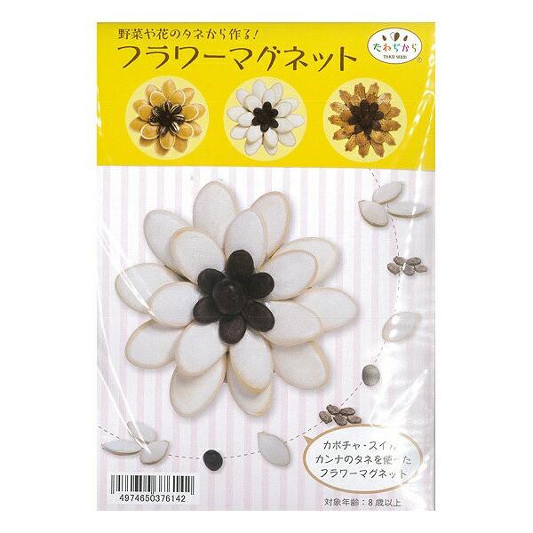 タキイ種苗 フラワーマグネット カボチャ 白 スイカ カンナ Am6 Burnsphoto Com