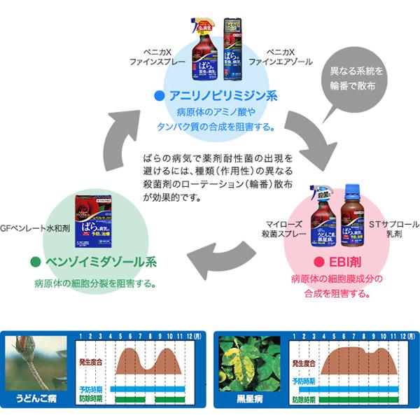 マイローズSTサプロール乳剤 100ml 住友化学園芸 ばらの病気に予防と治療 殺菌剤｜wise-life｜10