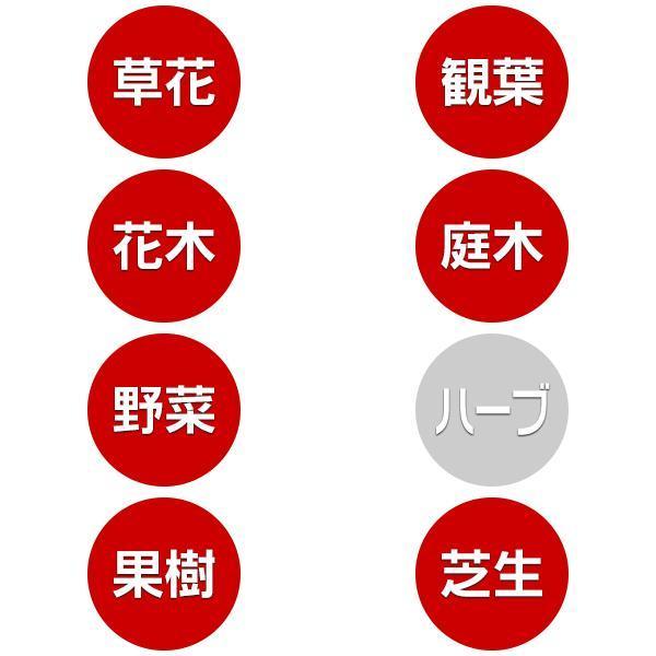 KINCHO園芸 殺菌剤 ST ダコニール 1000 30ml KINCHO園芸 殺菌剤 農薬