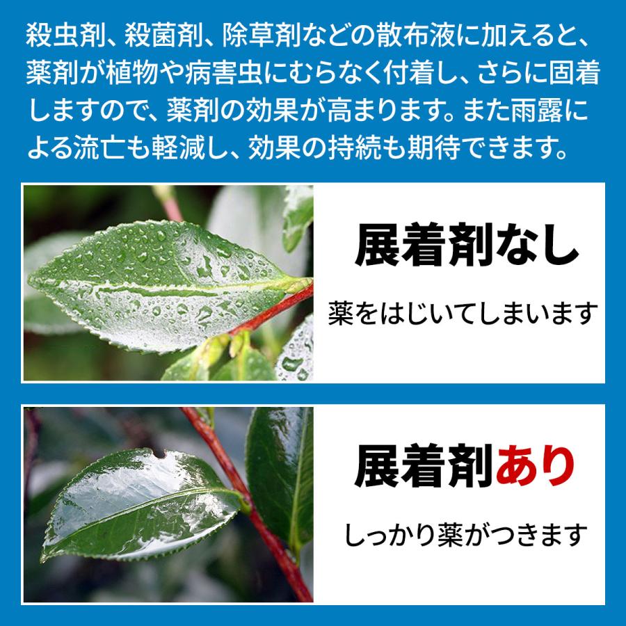 KINCHO園芸 展着剤 農薬 ダイン 100ml KINCHO園芸 葉面散布 ダイン 展