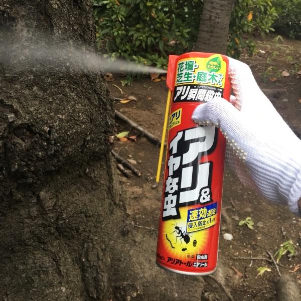 住友化学園芸 殺虫剤 アリアトールエアゾール 480ml アリ ヒアリ 住友化学園芸 殺虫剤 アリアトールエアゾール 480ml アリ ヒアリ