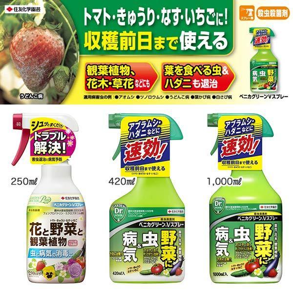 殺虫殺菌剤 ベニカグリーンV スプレー 1000ml×15本 KINCHO園芸 殺虫剤 農薬 殺虫剤 殺菌剤 農薬 殺菌剤 うどんこ病 治療 殺虫剤 アブラムシ 殺虫剤の画像