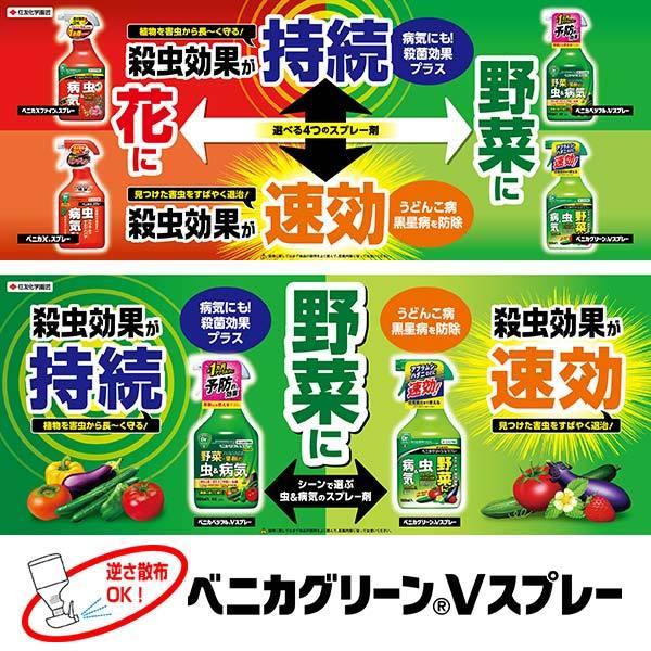 殺虫殺菌剤 ベニカグリーンV スプレー 1000ml×15本 KINCHO園芸 殺虫剤 農薬 殺虫剤 殺菌剤 農薬 殺菌剤 うどんこ病 治療 殺虫剤 アブラムシ 殺虫剤の画像