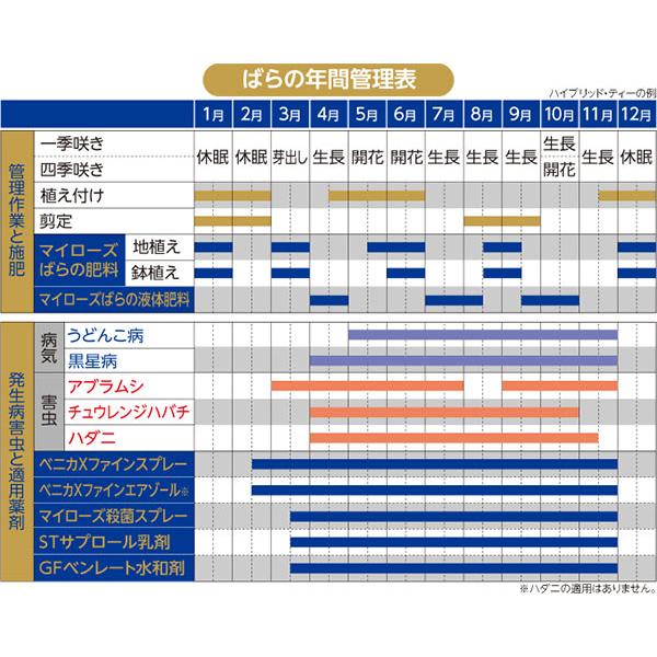 まとめ買い 15本入 マイローズ ベニカXファインスプレー 950ml 住友化学園芸 殺虫殺菌剤｜wise-life｜15