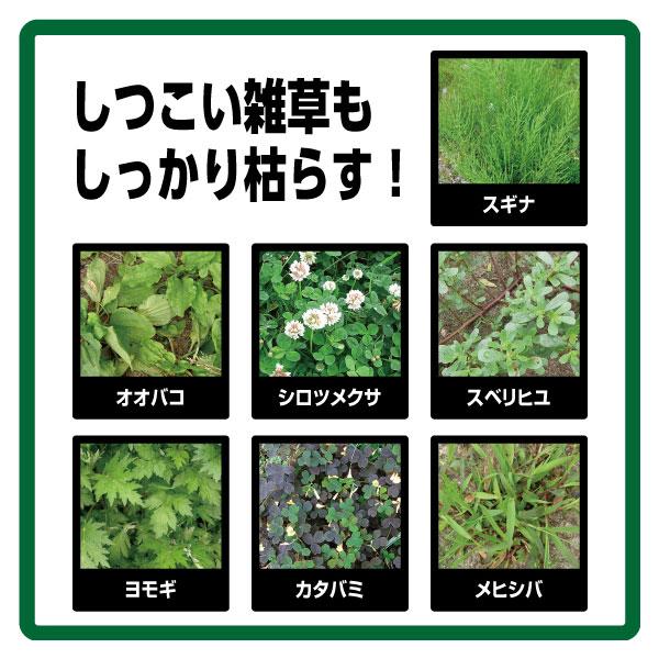 住友化学園芸 除草剤 Gf草退治ｚ粒剤 4 5kg 4箱 ケース販売 A ワイズライフyahoo 店 通販 Yahoo ショッピング