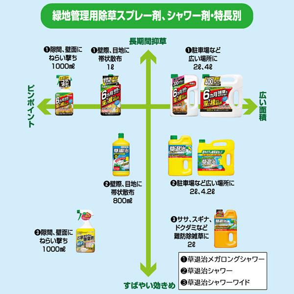 除草剤 草退治メガロングシャワー 4L×4本 KINCHO園芸 除草剤 強力 業務用 除草剤 液剤 除草剤 草退治 除草剤 ヘキサジノン 除草剤 雑草防除 雑草 防除 雑草_2