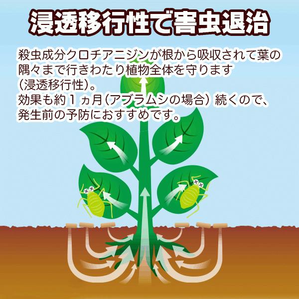 ベニカXガード粒剤 550g 住友化学園芸 虫&病気 発生前の予防が効果的 殺虫殺菌剤|wise-life|03