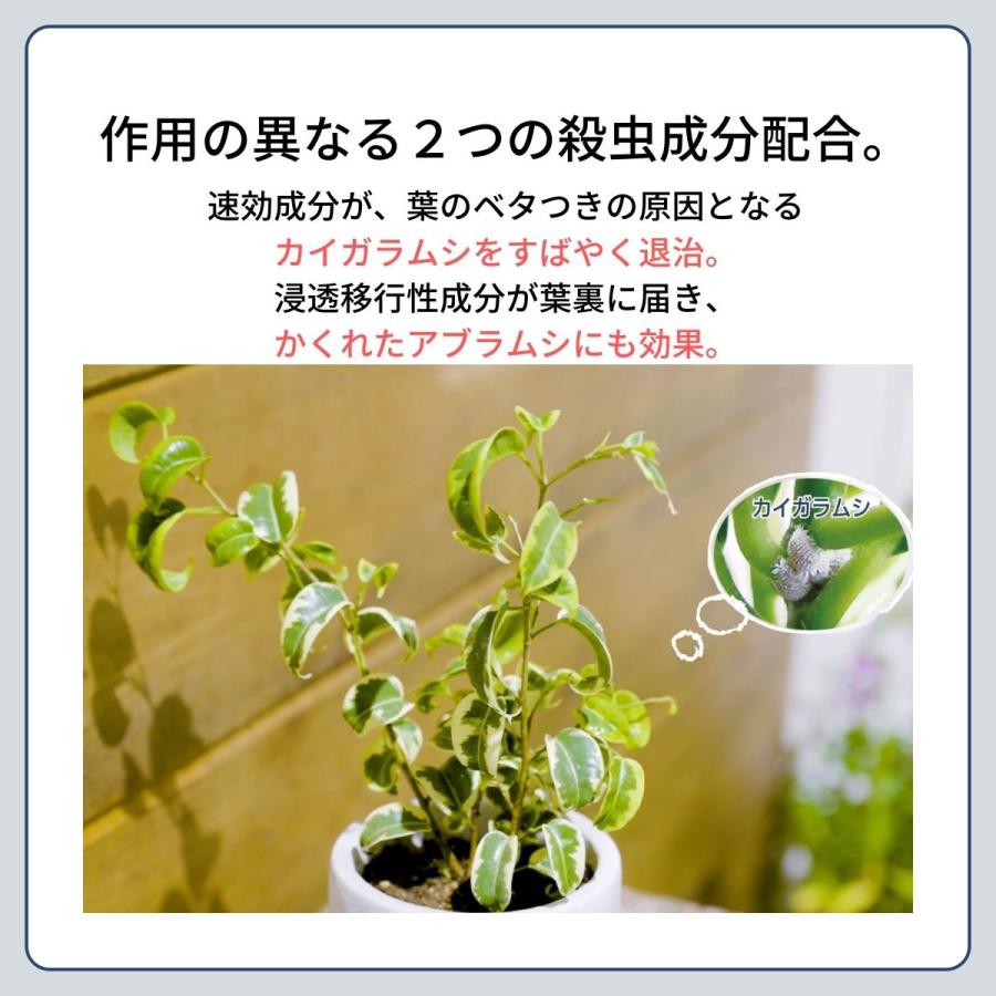 MY PLANTS 殺虫剤 虫からやさしく守るミスト 250ml×10本 KINCHO園芸