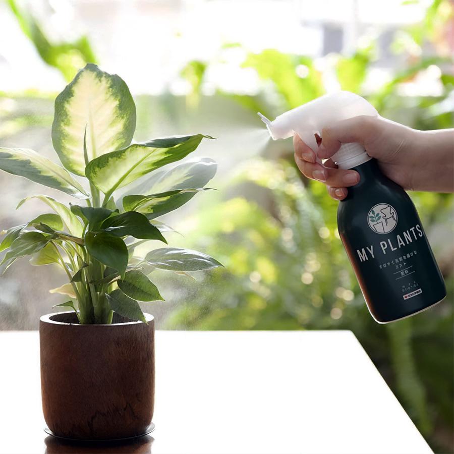 MY PLANTS 肥料 すばやく元気を届けるミスト 250ml×10本 KINCHO園芸