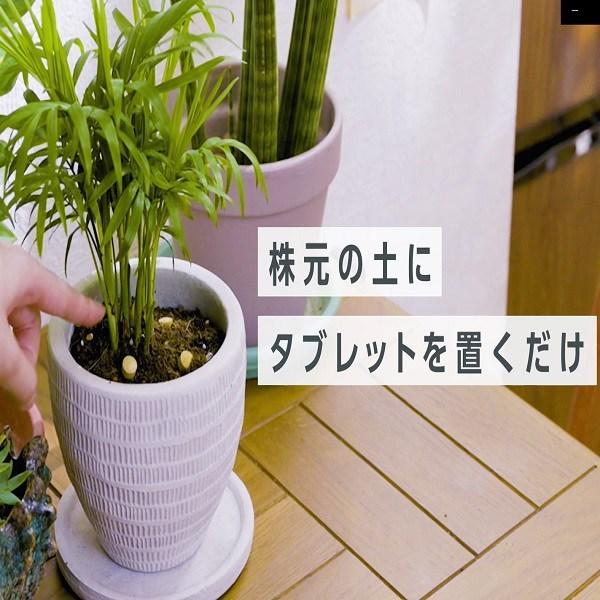 MY PLANTS 長く丈夫に育てるタブレット 約170錠 住友化学園芸 肥料｜wise-life｜03