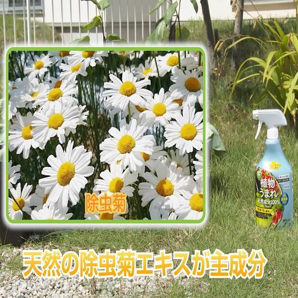 KINCHO園芸 殺虫剤 パイベニカVスプレー 1000ml KINCHO園芸 殺虫剤
