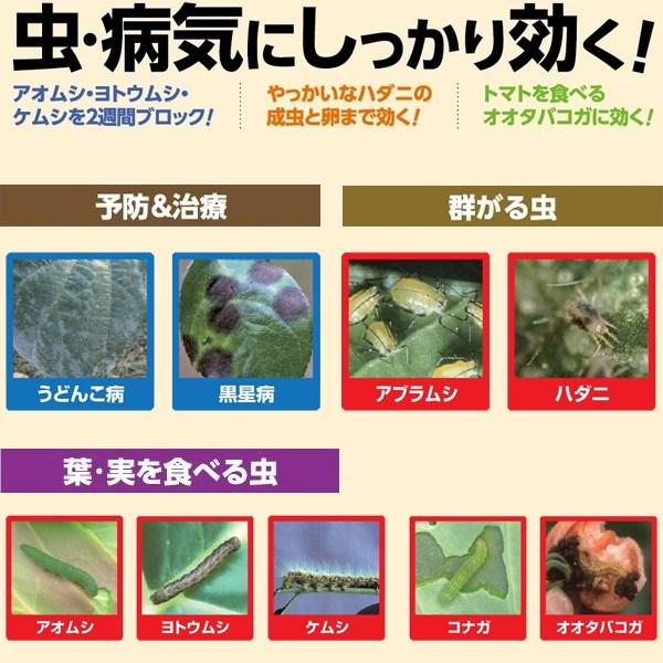 ベニカナチュラルスプレー 付け替え用 1000ml×15本 KINCHO園芸 殺虫剤 農薬 殺虫剤 ベニカ 殺虫剤 毛虫 殺虫剤 殺菌剤 農薬 殺菌剤 病気 防除 殺虫殺菌剤の画像