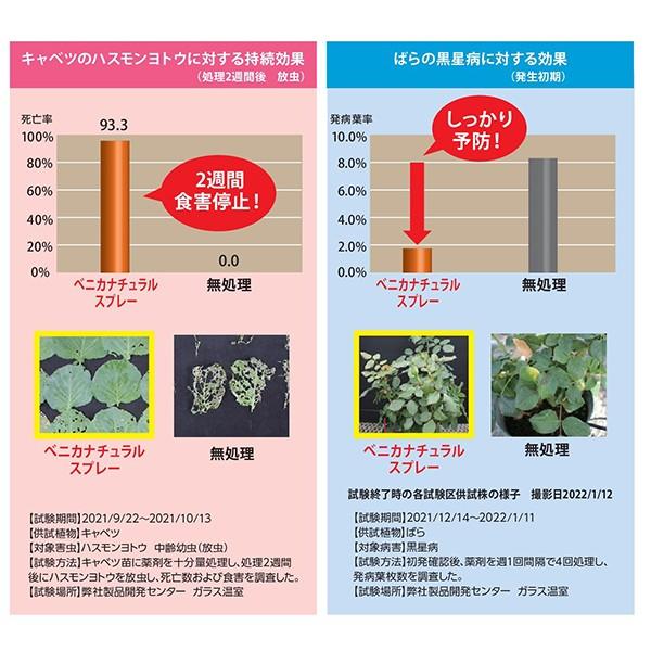ベニカナチュラルスプレー 付け替え用 1000ml×15本 KINCHO園芸 殺虫剤 農薬 殺虫剤 ベニカ 殺虫剤 毛虫 殺虫剤 殺菌剤 農薬 殺菌剤 病気 防除 殺虫殺菌剤の画像