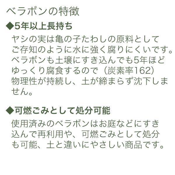 ベラボン・プレミアム 5L フジック 培養土のかわりにベラボンに植えるだけ ガーデン用品｜wise-life｜12