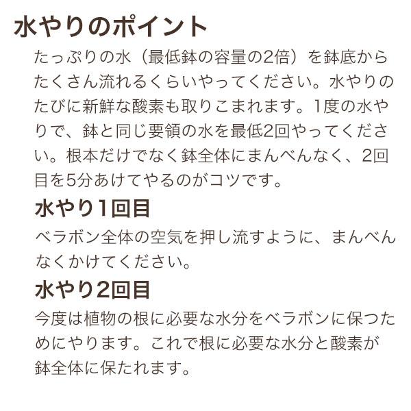 ベラボン・プレミアム 5L フジック 培養土のかわりにベラボンに植えるだけ ガーデン用品｜wise-life｜04