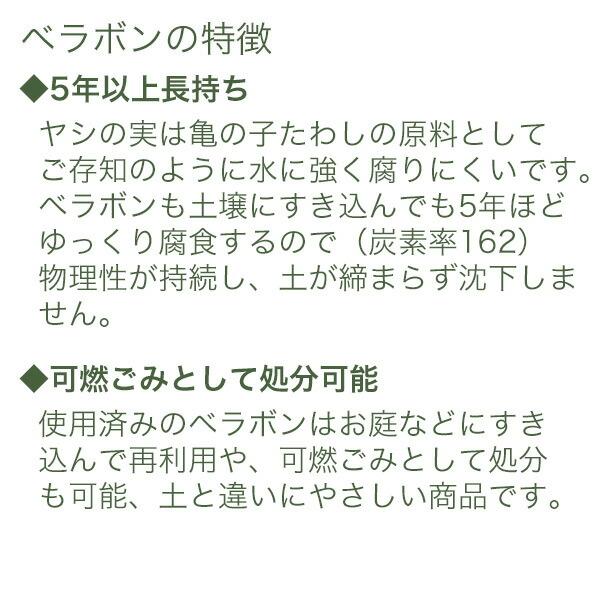 ベラボン・プレミアム 50L×3袋 フジック 観葉植物 寄せ植え 多肉植物 寄せ植え ヤシの実チップ 植物 根腐れ防止 大容量 チップ 寄せ植え 野菜苗 植込み資材の画像