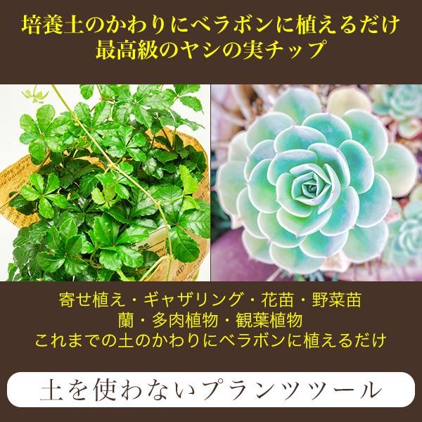 ベラボン・プレミアム 50L×3袋 フジック 観葉植物 寄せ植え 多肉植物 寄せ植え ヤシの実チップ 植物 根腐れ防止 大容量 チップ 寄せ植え 野菜苗 植込み資材の画像
