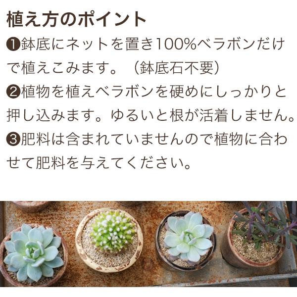 ベラボン・プレミアム 50L×3袋 フジック 観葉植物 寄せ植え 多肉植物 寄せ植え ヤシの実チップ 植物 根腐れ防止 大容量 チップ 寄せ植え 野菜苗 植込み資材の画像