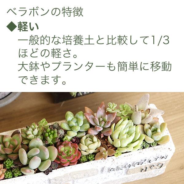 ベラボン・プレミアム 50L×3袋 フジック 観葉植物 寄せ植え 多肉植物 寄せ植え ヤシの実チップ 植物 根腐れ防止 大容量 チップ 寄せ植え 野菜苗 植込み資材の画像