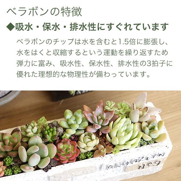 ベラボン・プレミアム 50L×3袋 フジック 観葉植物 寄せ植え 多肉植物 寄せ植え ヤシの実チップ 植物 根腐れ防止 大容量 チップ 寄せ植え 野菜苗 植込み資材の画像