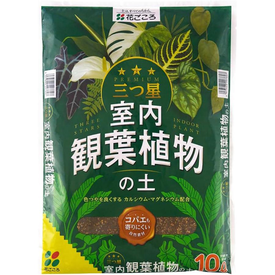 観葉 植物 の 土