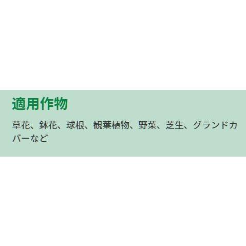 マグァンプK 小粒 600g ハイポネックス 草花・野菜など すでに植わっている植物に 緩効性肥料|wise-life|02