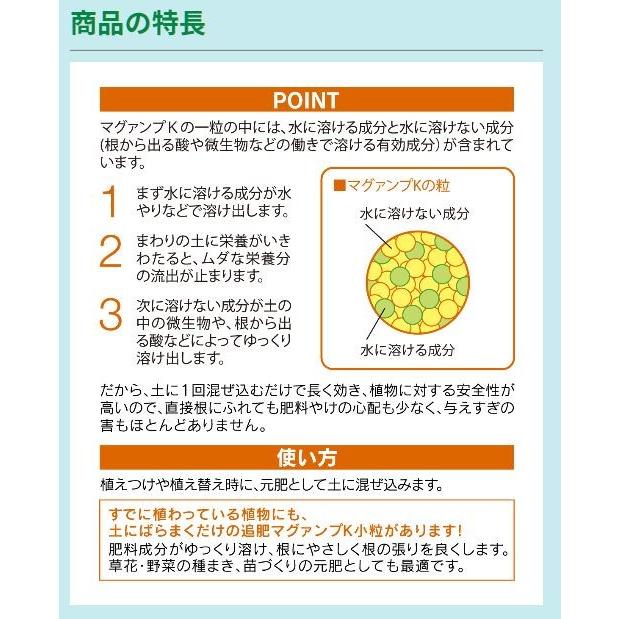 マグァンプK 小粒 600g ハイポネックス 草花・野菜など すでに植わっている植物に 緩効性肥料|wise-life|03