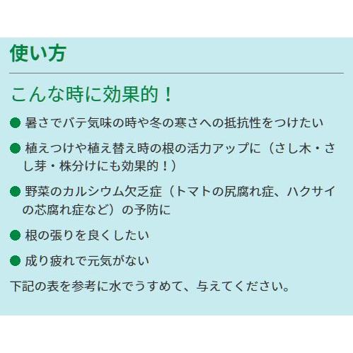 リキダス エコパック 720ml ハイポネックス 植物用活力液 活力液｜wise-life｜05