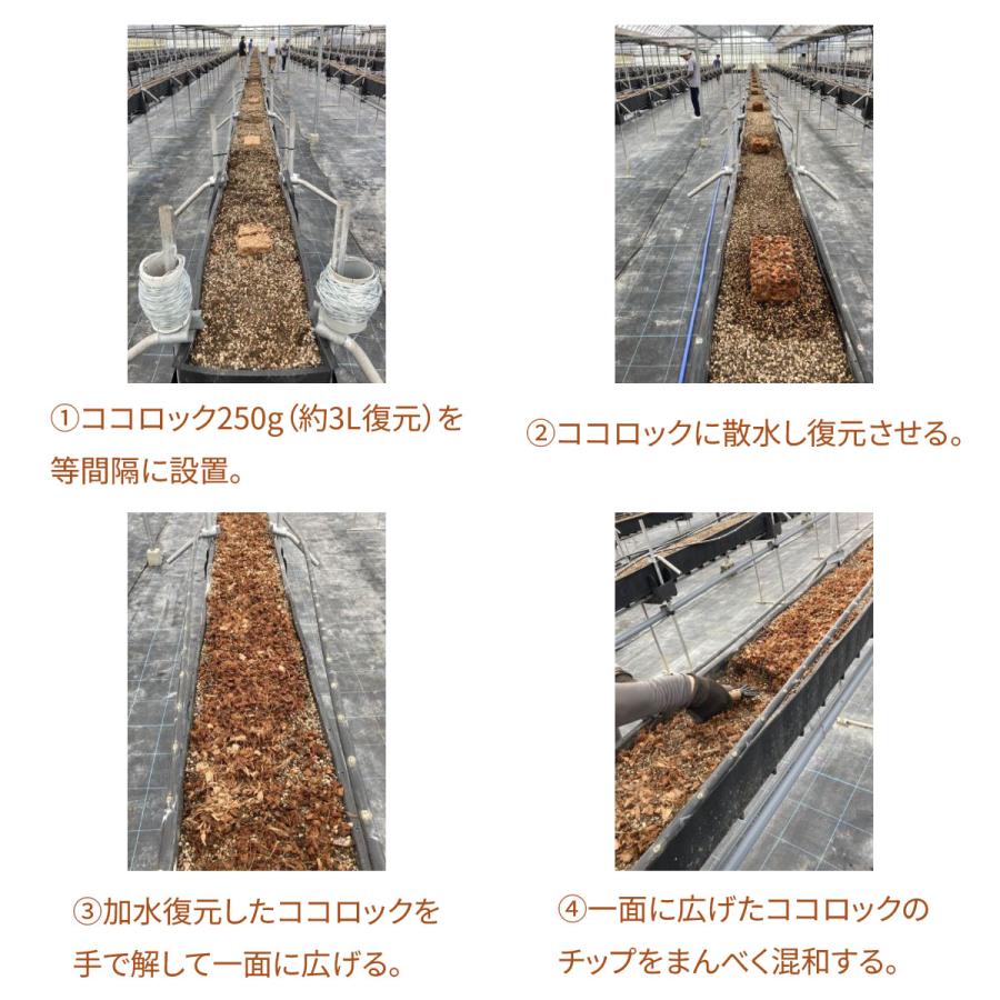 土壌改良材 ココロック 250g 48個入 イノベックス ヤシガラチップ