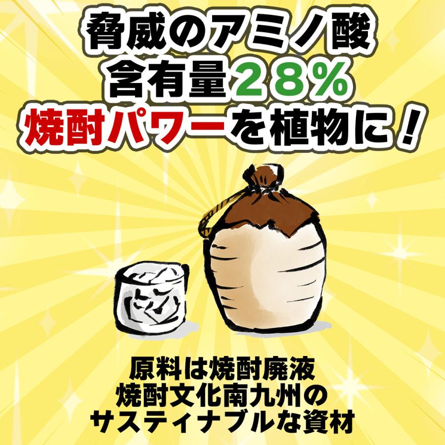 肥料 アミノパワー 1kg GORI Farm 大容量 特殊肥料 業務用 野菜 花木