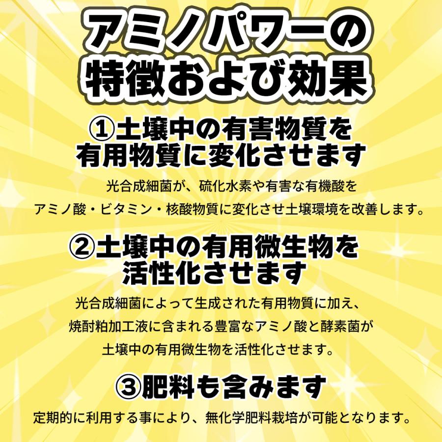 肥料 アミノパワー 5kg GORI Farm 大容量 特殊肥料 業務用 野菜