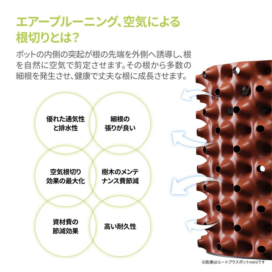 高設架台 ルートプラスステージエントリー W:250×D:1320×T:830mm 南榮工業 高設栽培架台 ルートプラス 農業資材 ガーデニング用品_2