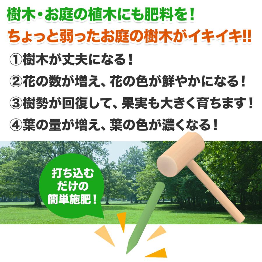 まとめ買い 20個入 グリーンパイル G-100(スモール) 100g×3本パック ジェイカムアグリ 打ち込みキャップ入り 樹木専用打込み肥料 送料無料｜wise-life｜03