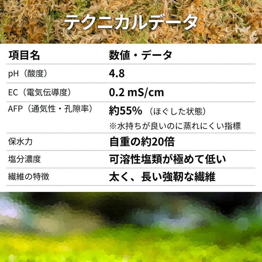 ニュージーランド産 圧縮水苔 40L/500g Besgrow Spagmoss Classic AA