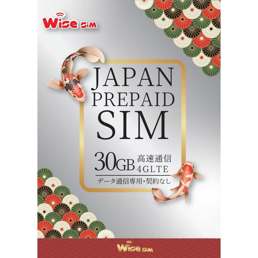 日本SIM au回線データ容量30GB データ通信専用 プリペイドSIM KDDI 