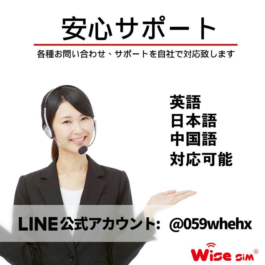 ★プリペイドSIM docomo データSIMカード 日本国内用 利用日数30日 日本SIM 日本プリペイドSIM JAPAN SIM |  | 06