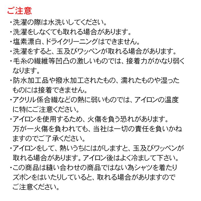 阪神タイガース 滝虎・昇華プリントワッペン(小)|wiseimpact|05